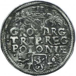 Sigismund III. Wasa, Trojak 1596, Wschowa