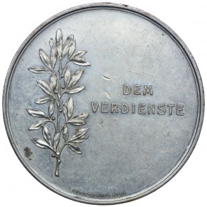 Austria, early 20th century medal. 