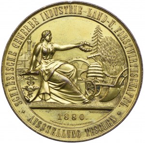 Medal Cieszyn 1880, Wystawa rolnicza w Cieszynie