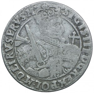 Zygmunt III Waza, ort 1623, Bydgoszcz