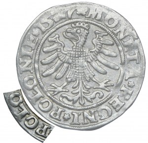 Sigismund I the Old, penny 1527 ✽POŁONIE✽