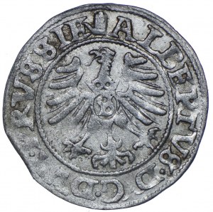 Ducal Prussia, Albert Hohenzollern, 1558 shekel, Königsberg