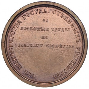 Rosja, Mikołaj I, medal,  Nagroda Ministerstwa Mienia Państwowego bez daty (1845) - Novodiel
