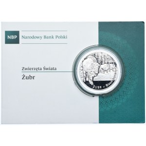 20 zlato 2013, Zubr