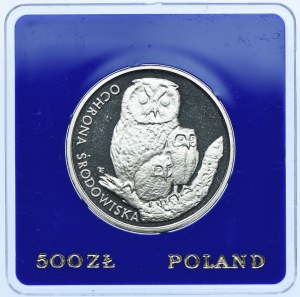 500 Gold 1986, Owl with the Young