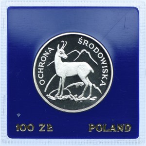 100 Gold 1979, Goat