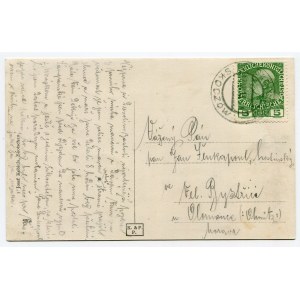 Postcard Skoczów/Skotschau