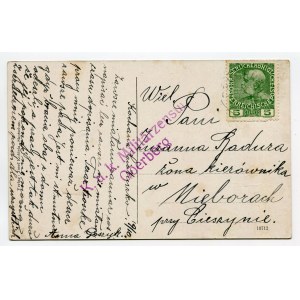 Postcard Skoczów/Skotschau