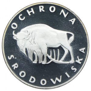 100 zloty 1977, Żubr