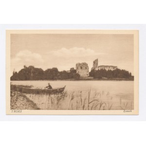 Trakai Castle (65)