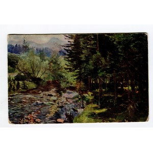 Zakopane 3 Stk. (342)