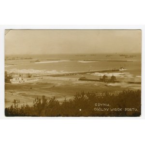 Gdynia - View of the port (2044)