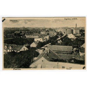 Pleszew - General view (2060)