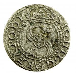 Zygmunt III Waza, Szeląg 1601 K, Kraków (115)
