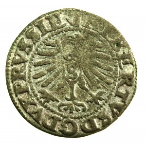 Prusy, Albrecht Hohenzollern, Szeląg 1557, Królewiec (120)