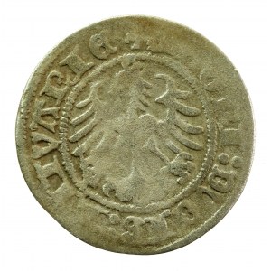 Zygmunt I Stary, Półgrosz 1518, Wilno - trzykropek. Rzadkie (310)