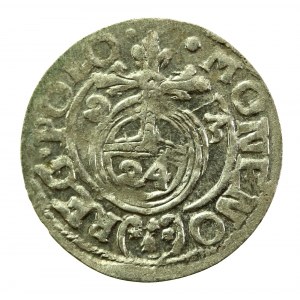Zygmunt III Waza, Półtorak 1623, Bydgoszcz (242)