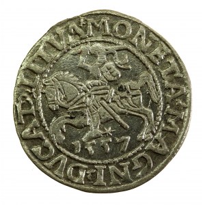 Zygmunt II August, Półgrosz 1557 Wilno, L / LITVA (764)