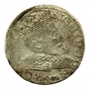 Zygmunt III Waza, Trojak 1596, Ryga (814)