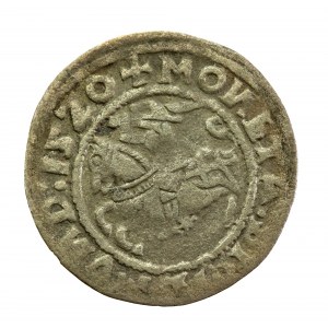 Zygmunt I Stary, Półgrosz 1520, Wilno - SIGISMVND, rzadki - ex. Kałkowski (838)