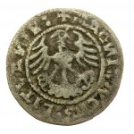 Zygmunt I Stary, Półgrosz 1520, Wilno - SIGISMVND, rzadki - ex. Kałkowski (838)