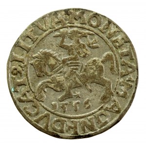 Zygmunt II August, Półgrosz 1556, Wilno - ex. Kałkowski (839)