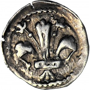 RR-, Ludwik Węgierski (Andegaweński) 1370-1382, Denar Lilia/Tarcza REX, Kopicki R4