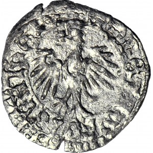 Węgry, Władysław III Warneńczyk (1440-1444), Denar z orłem polskim