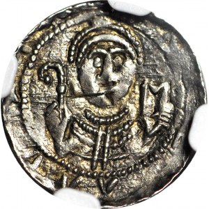 RRR-, Władysław II Wygnaniec 1138-1146, Denar, książę i biskup, SCHEMATYCZNA PALISADA WOKÓŁ GRODU