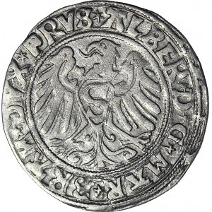 RR- Prusy Książęce, Albrecht Hohenzollern, Grosz lenny 1529, Królewiec, rzadki rocznik