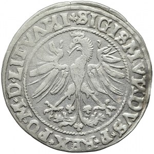 Zygmunt I Stary, Grosz 1535, Wilno
