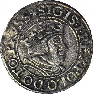 R-, Zygmunt I Stary, Grosz 1537, Gdańsk, popiersie w czepcu, rzadki rocznik, R3
