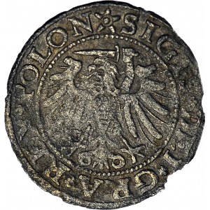 RRR-. Zygmunt I Stary, Szeląg 1532 Gdańsk, R7