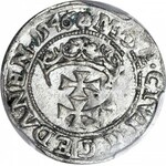 RR-. Zygmunt I Stary, Szeląg 1546 Gdańsk, MONE/REFX POLN