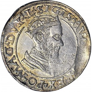 Zygmunt II August, Czworak 1566, Wilno, L/LITV