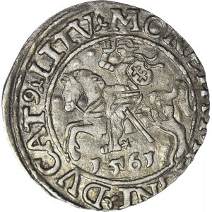 Zygmunt II August, Półgrosz 1561, Wilno