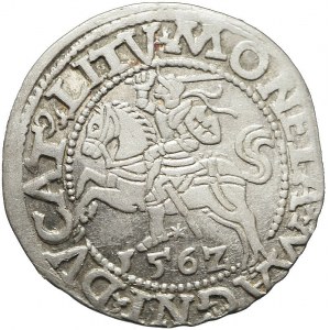 Zygmunt II August, Półgrosz 1562, Wilno