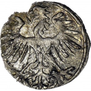 Zygmunt II August, Denar 1554, Wilno, R3, T 8mk