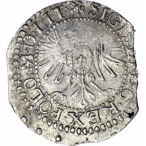 Zygmunt III Waza, Grosz 1610 Wilno, LITVI/LITV