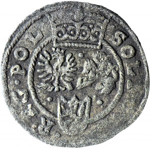 RR-, Zygmunt III Waza, Szeląg Bydgosz 1601 BB