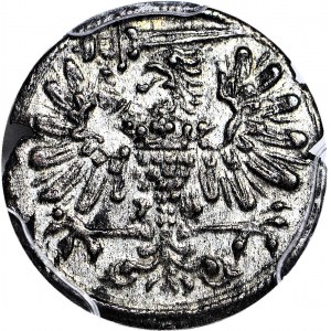 RR-, Zygmunt III, Ternar 1613, Gdańsk, Tarcza OWALNA, piękny, R4