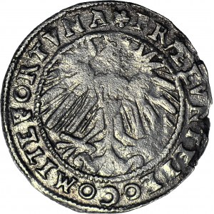 RRR-, Śląsk, Fryderyk Kazimierz 1563-1571, Grosz bez daty, Bielsko, brak notowań, R6