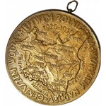 II RP, Medal Dziesiąta rocznica odparcia najazdu Rosji Sowieckiej 1930, Warszawa, J. Aumiller, duży 55mm