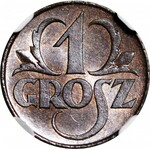 1 grosz 1923, menniczy, kolor BN