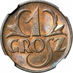 1 grosz 1925, menniczy, kolor BN