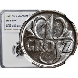 1 grosz 1936, menniczy, kolor BN