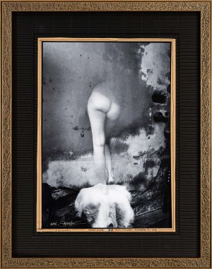 Jan Saudek (ur. 1935), Na dosah