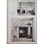 Projekt R.1963 nr 6 /Karol Frycz, scenografia, Henryk Tomaszewski, plakat