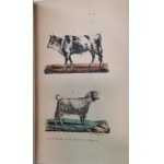 Buffon J.-L.L. - Oeuvres complètes de Buffon, 1823 - 1833, litografie, 20 tomów
