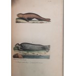 Buffon J.-L.L. - Oeuvres complètes de Buffon, 1823 - 1833, litografie, 20 tomów